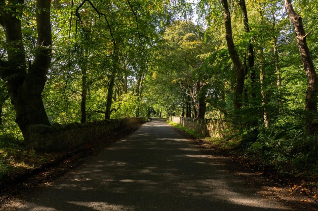Millbrae Lodges Belfast Bagian luar foto