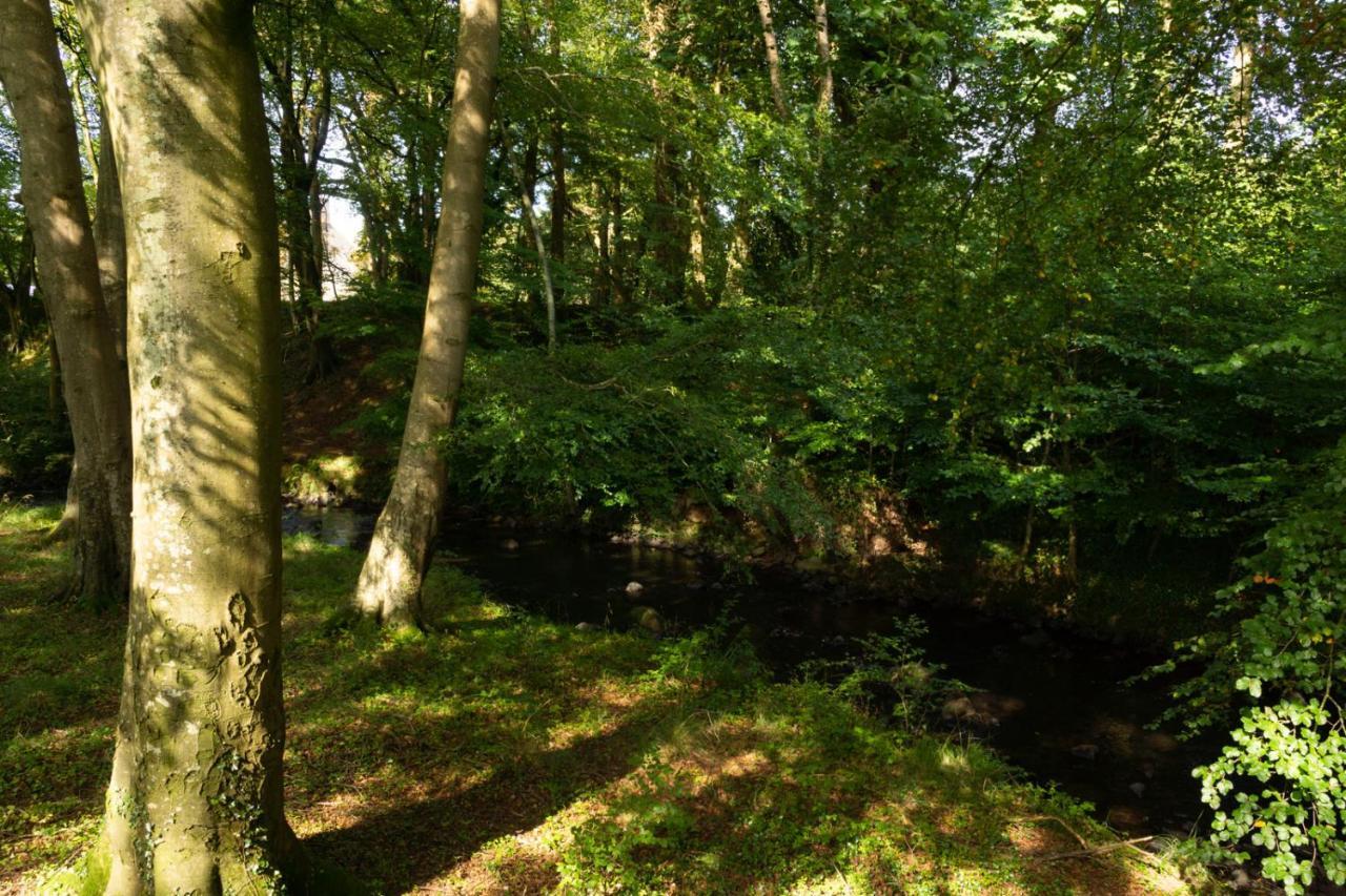 Millbrae Lodges Belfast Bagian luar foto